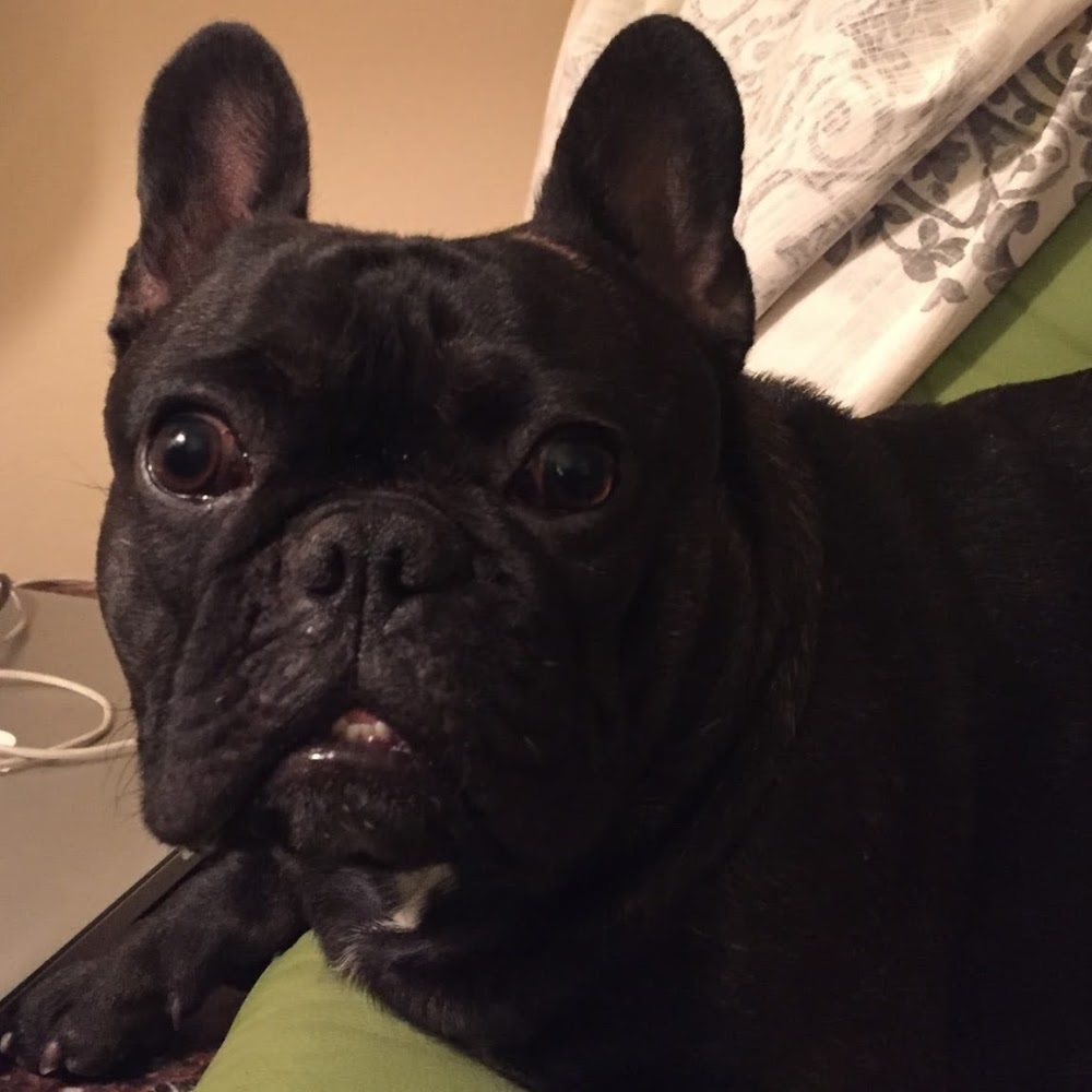 Meet your Posher, Emerald